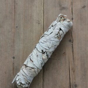 Vit Salvia XL