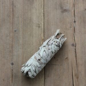 Vit Salvia L